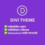 Divi Elegant theme